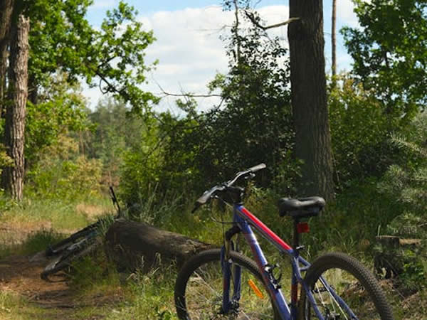 Crescent OR Biking