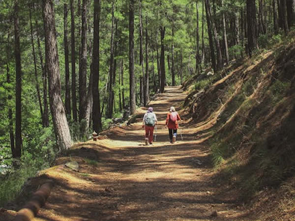 Crescent OR Hiking Trails